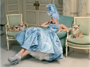Bóng đá anh, ngoại hạng anh, lịch thi đấu euro 2012, Kate Moss như tiểu thư kiêu kỳ